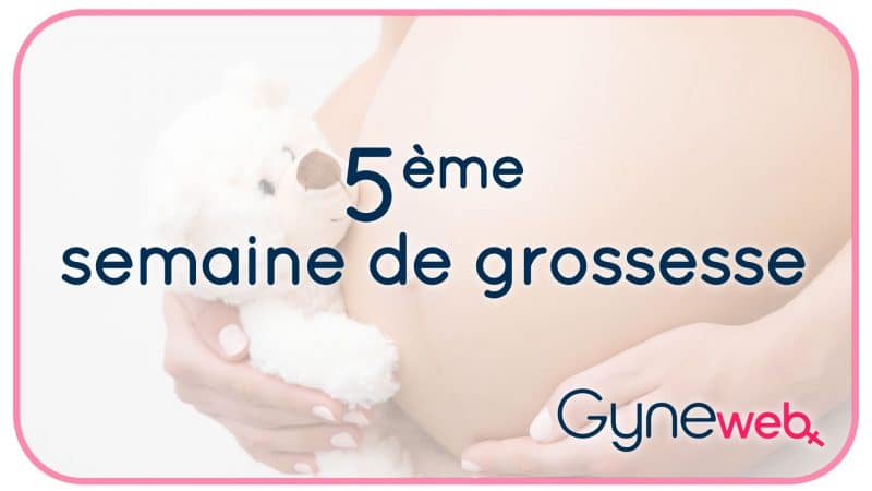 5-ème-semaine-grossesse