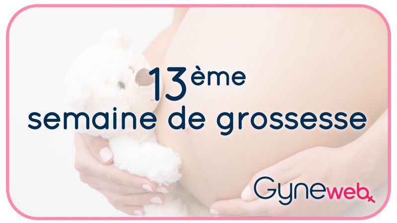 13-ème-semaine-grossesse