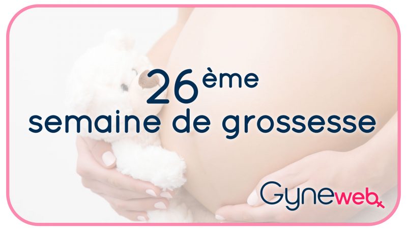 26-ème-semaine-grossesse